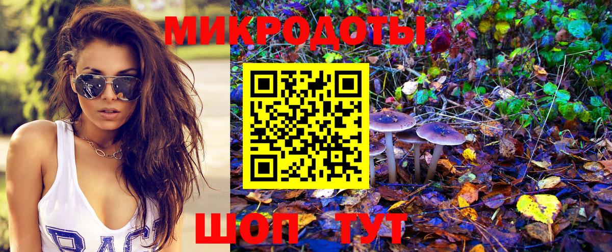 Галлюциногенные грибы Psilocybine cubensis Нерюнгри