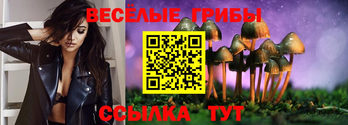 Нерюнгри  Псилоцибиновые грибы GOLDEN TEACHER  Вход с VPN  Псилоцибиновые грибы мицелий 